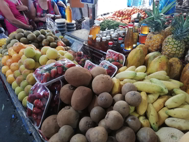 View of fruit market during Walk the Arts art workshop in South America